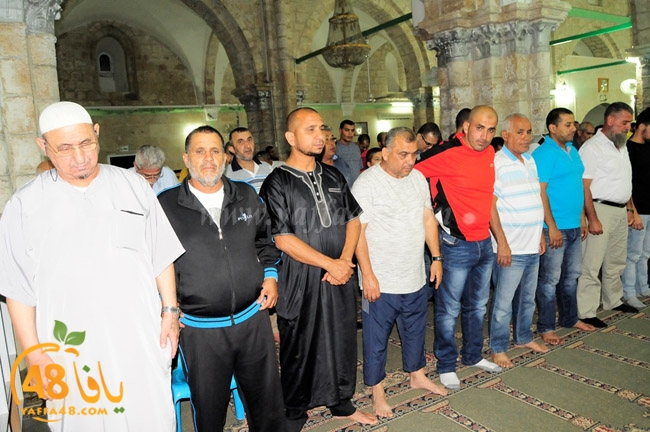 trawe7 ramla kaber (1).JPG